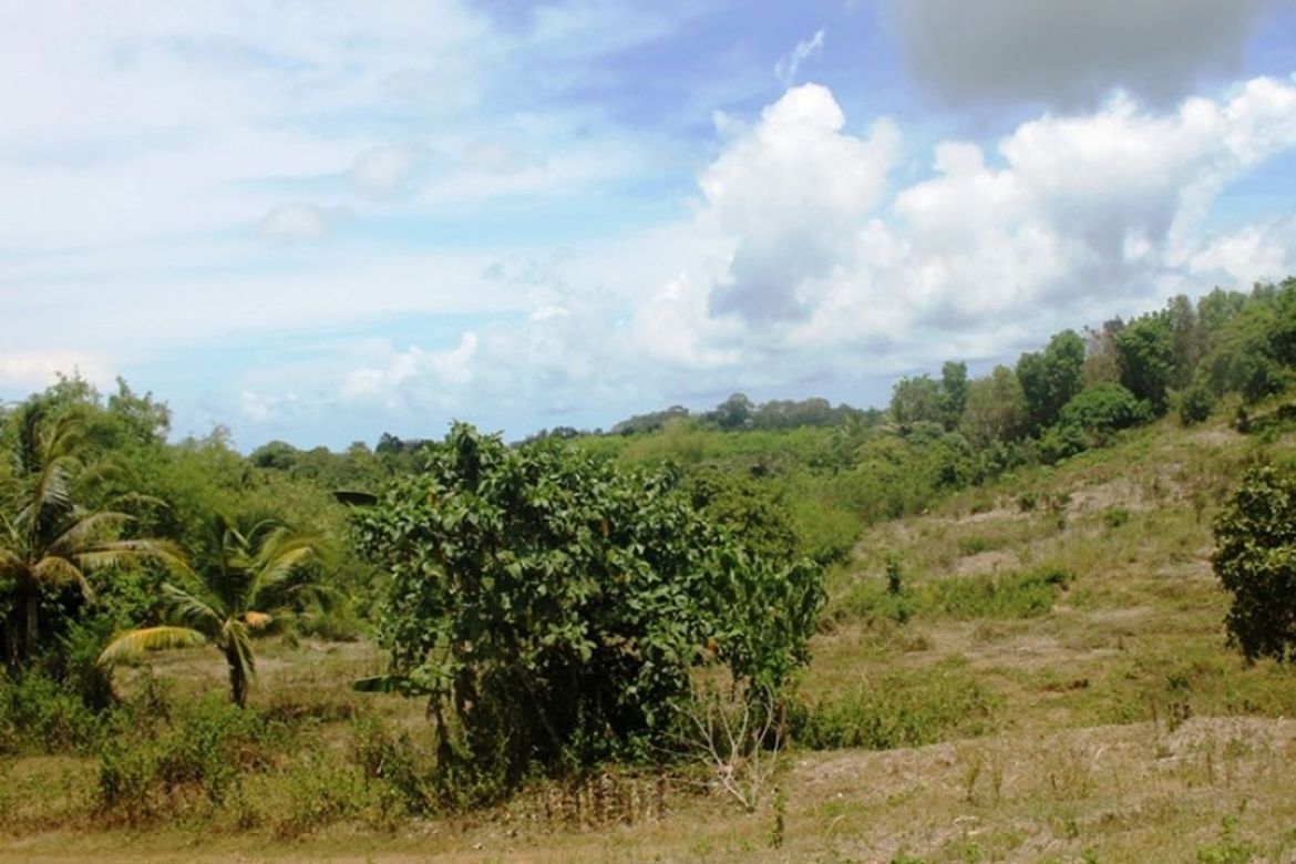 Land for Sale in Luzviminda, Puerto Princesa, Palawan – photo 6