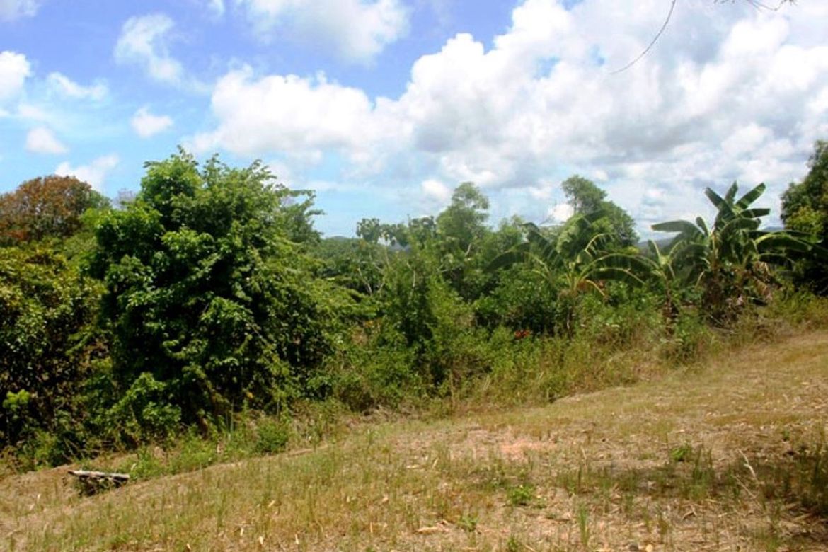 Land for Sale in Luzviminda, Puerto Princesa, Palawan – photo 7