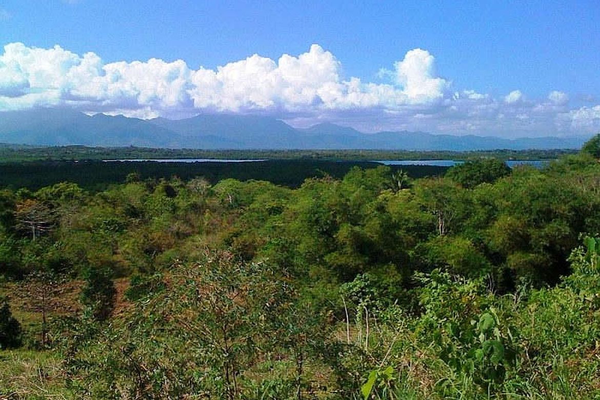 Land for Sale in Luzviminda, Puerto Princesa, Palawan – photo 2