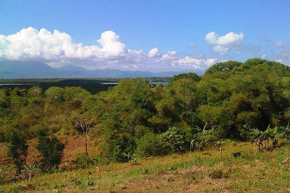 Land for Sale in Luzviminda, Puerto Princesa, Palawan – photo 5