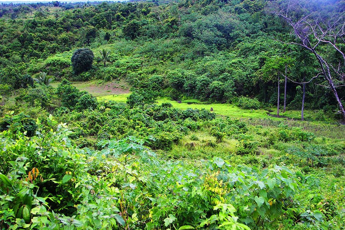 Land for Sale in Luzviminda, Puerto Princesa, Palawan – photo 3