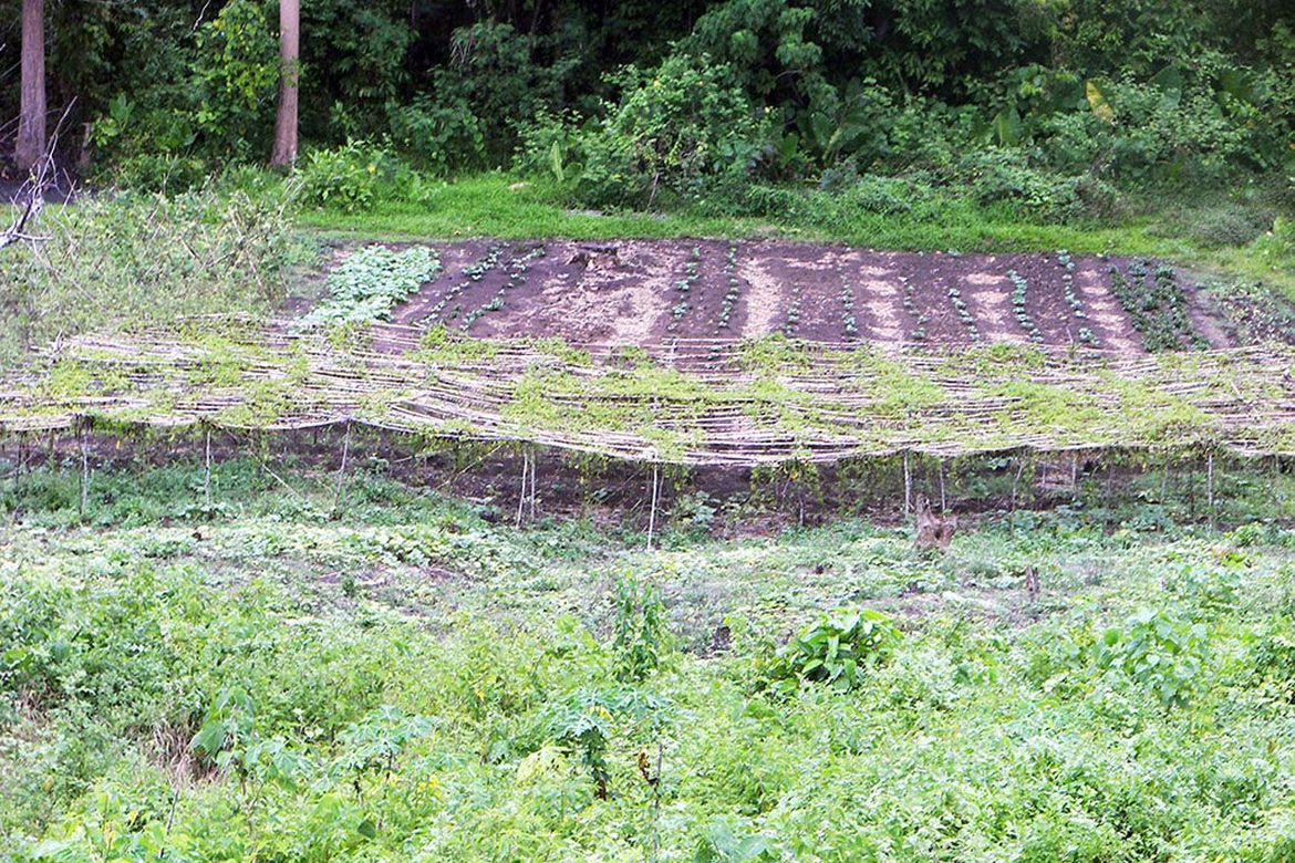 Land for Sale in Luzviminda, Puerto Princesa, Palawan – photo 6