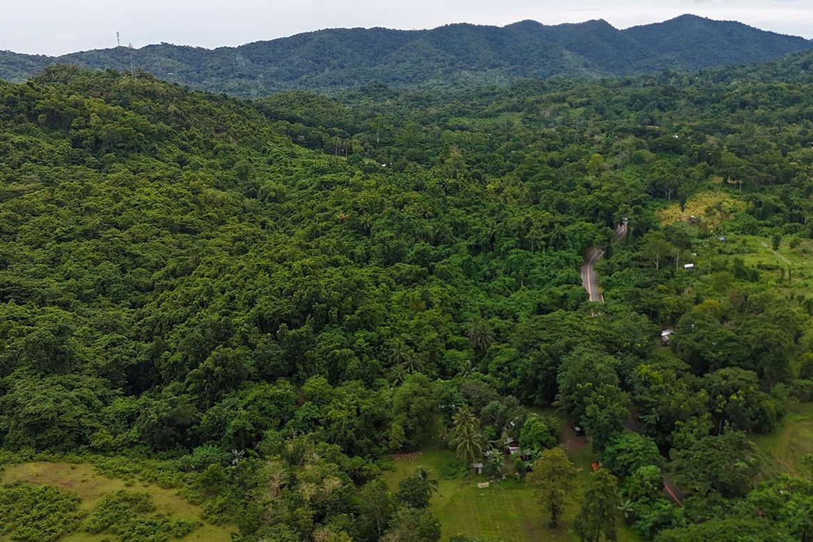 Land for Sale in Luzviminda, Puerto Princesa, Palawan – photo 3