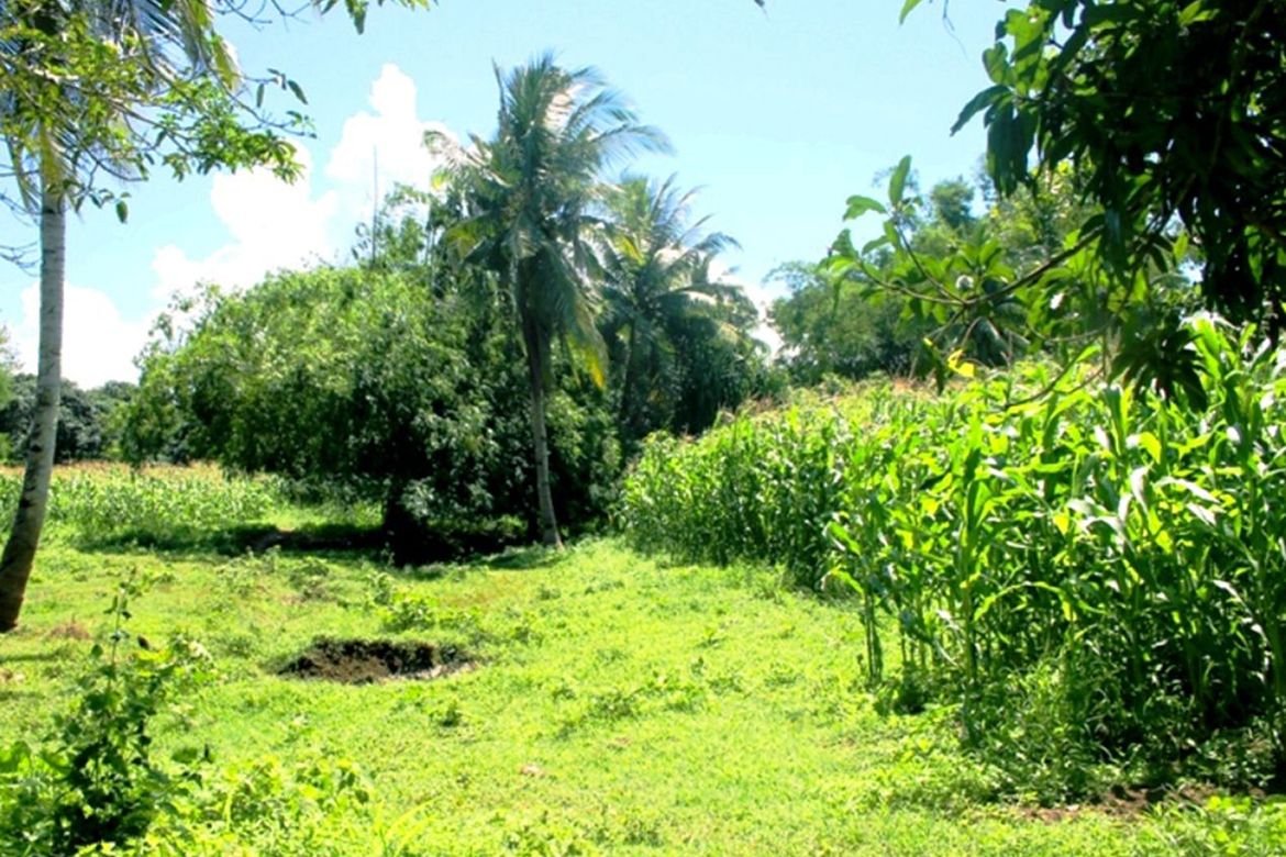 Land for Sale in Luzviminda, Puerto Princesa, Palawan – photo 4