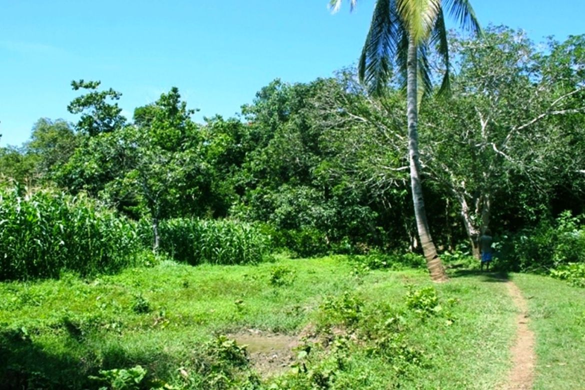 Land for Sale in Luzviminda, Puerto Princesa, Palawan – photo 8