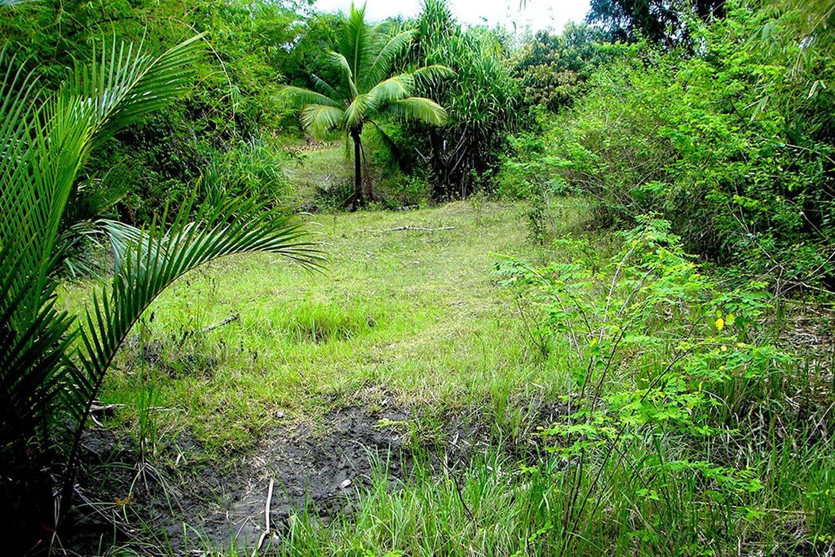 Land for Sale in Luzviminda, Puerto Princesa, Palawan – photo 2