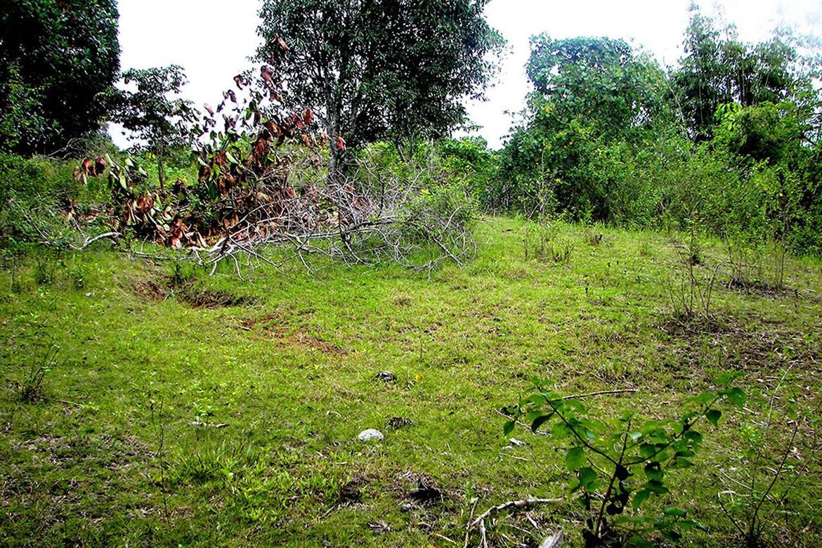 Land for Sale in Luzviminda, Puerto Princesa, Palawan – photo 3