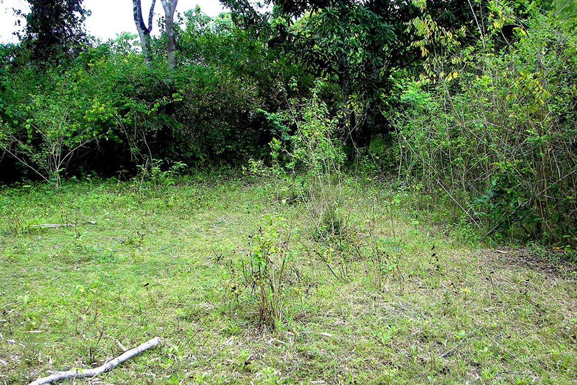 Land for Sale in Luzviminda, Puerto Princesa, Palawan – photo 4