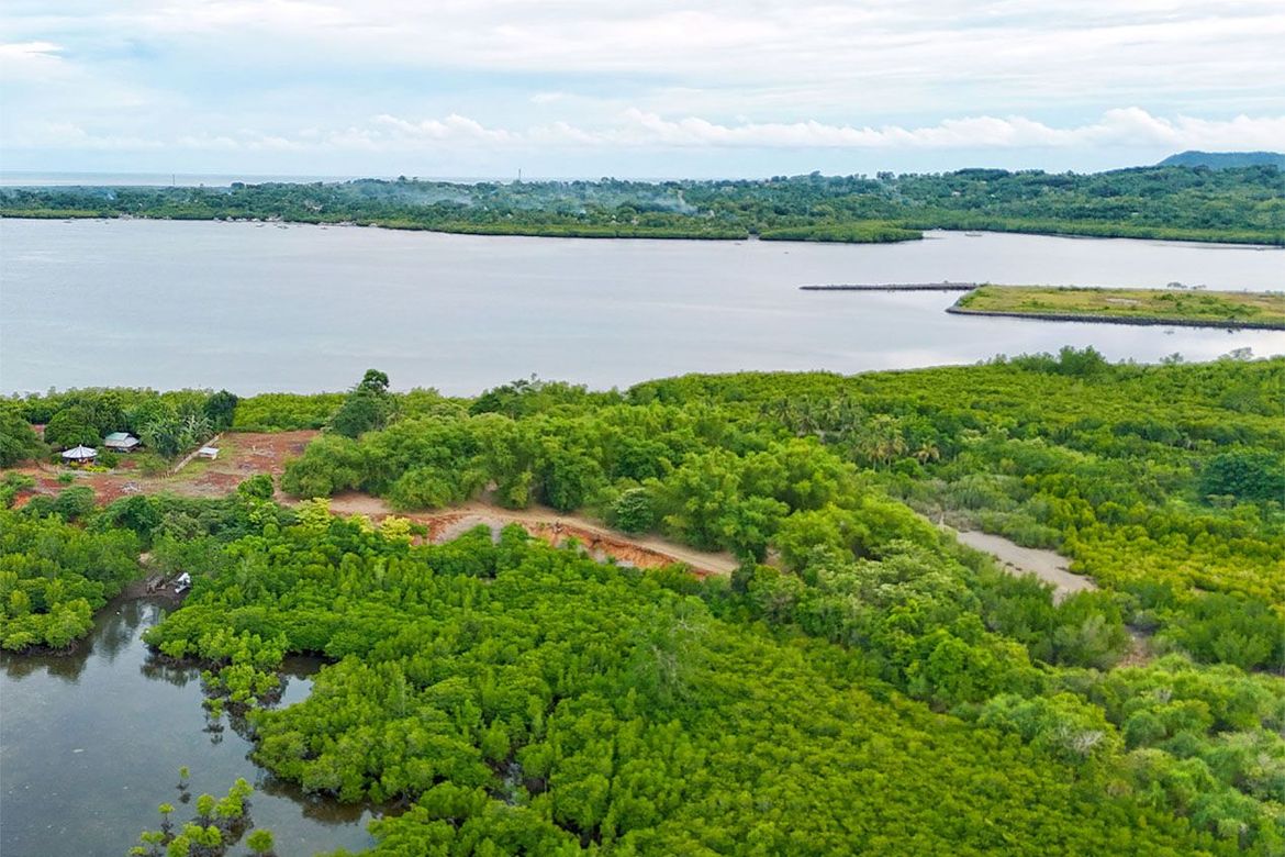 Land for Sale in Luzviminda, Puerto Princesa, Palawan – photo 3