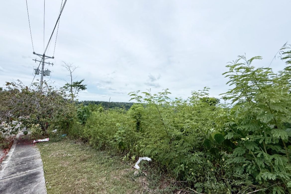 Land for Sale in Ma-A, Davao City, Davao del Sur – photo 2