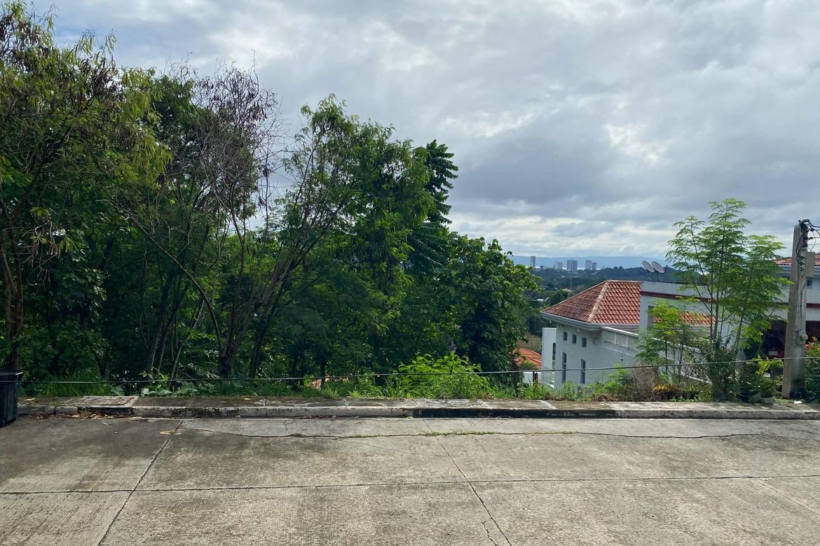 Land for Sale in Ma-A, Davao City, Davao del Sur – photo 2