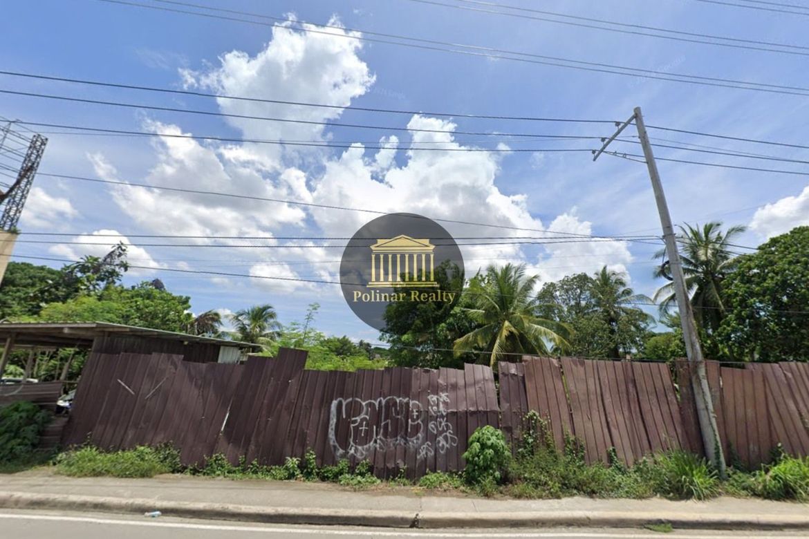 Land for Sale in Ma-A, Davao City, Davao del Sur – photo 4
