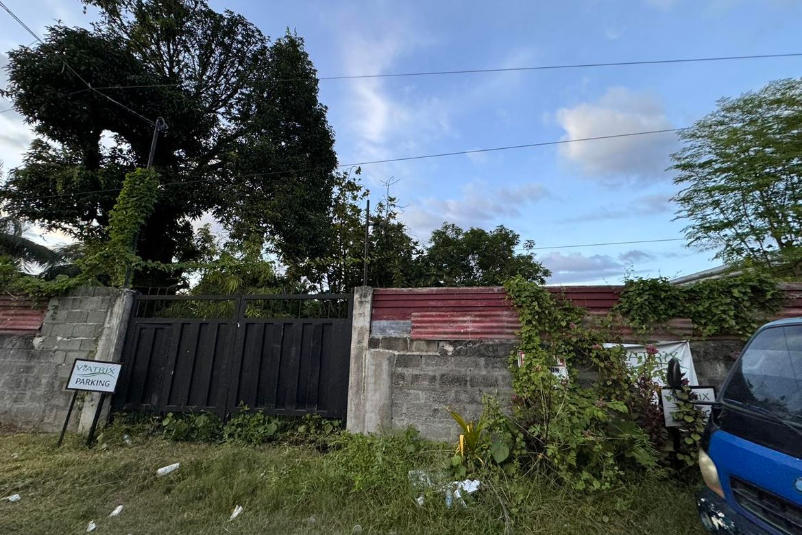 Land for Sale in Ma-A, Davao City, Davao del Sur – photo 3