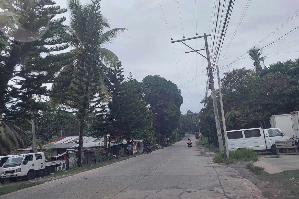 Land for Sale in Ma-A, Davao City, Davao del Sur – photo 2