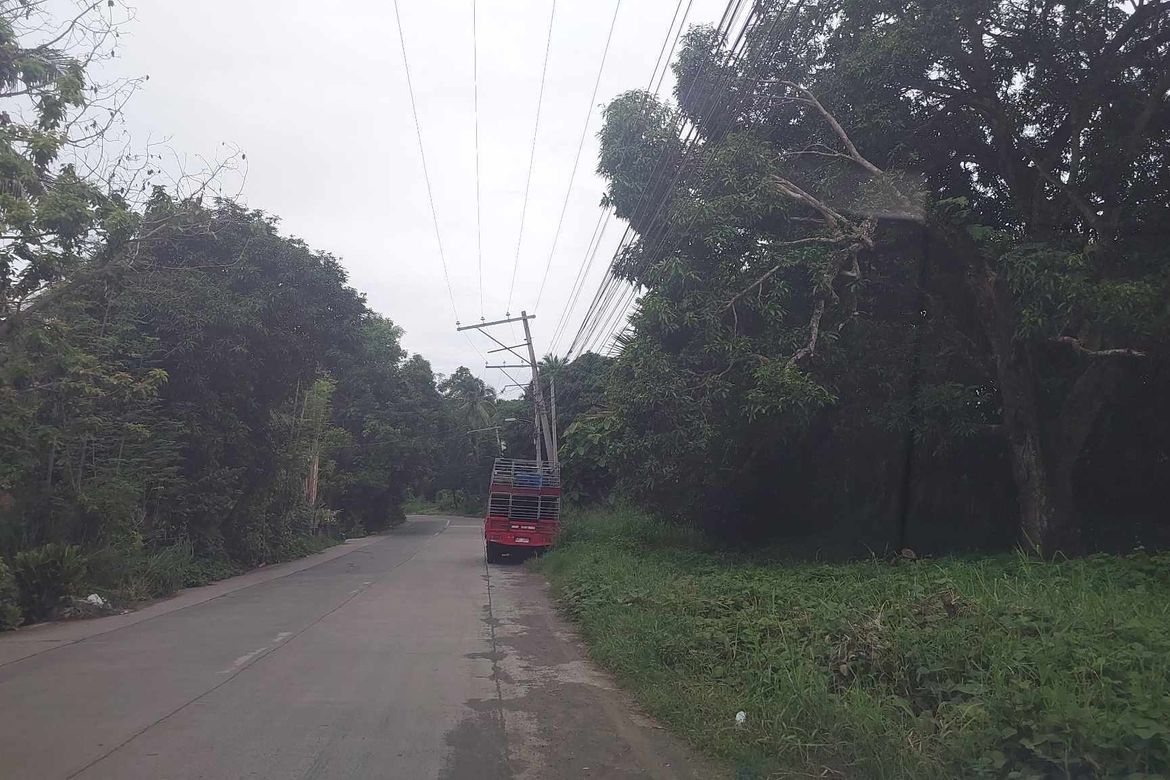 Land for Sale in Ma-A, Davao City, Davao del Sur – photo 4