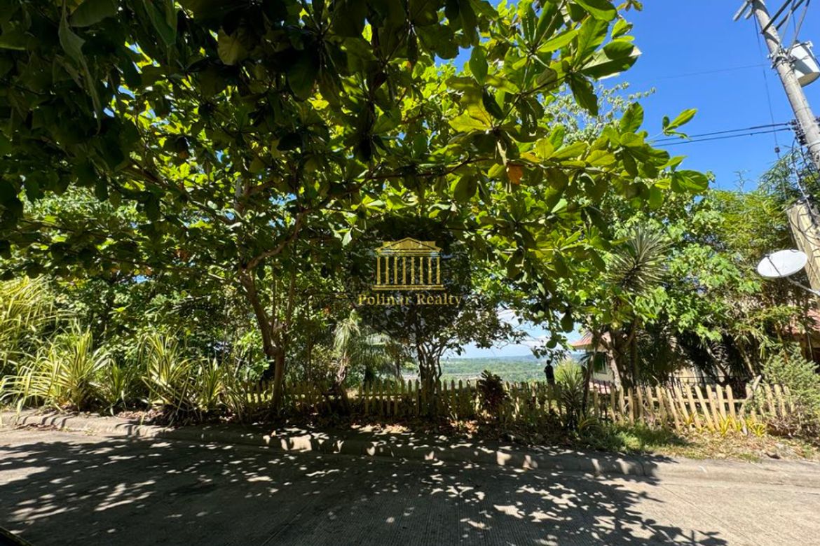Land for Sale in Ma-A, Davao City, Davao del Sur – photo 2
