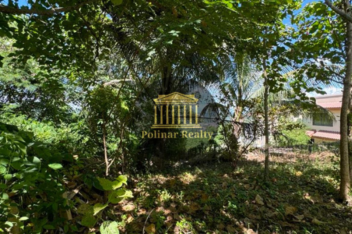 Land for Sale in Ma-A, Davao City, Davao del Sur – photo 5