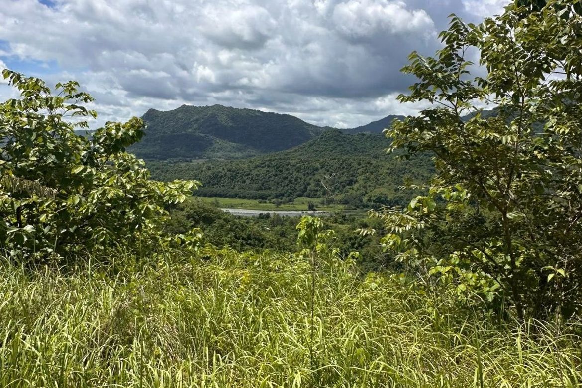Land for Sale in Maamot, San Jose, Tarlac – photo 3
