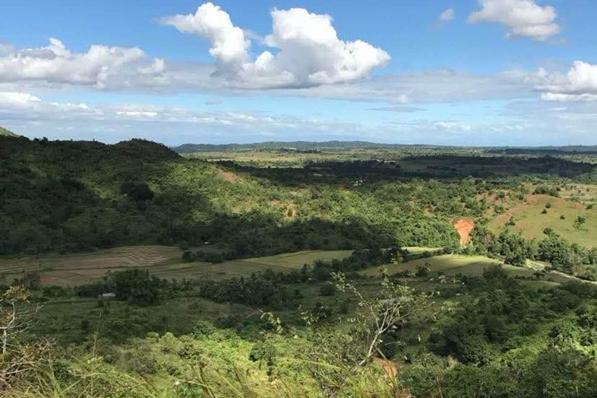 Land for Sale in Maamot, San Jose, Tarlac – photo 8