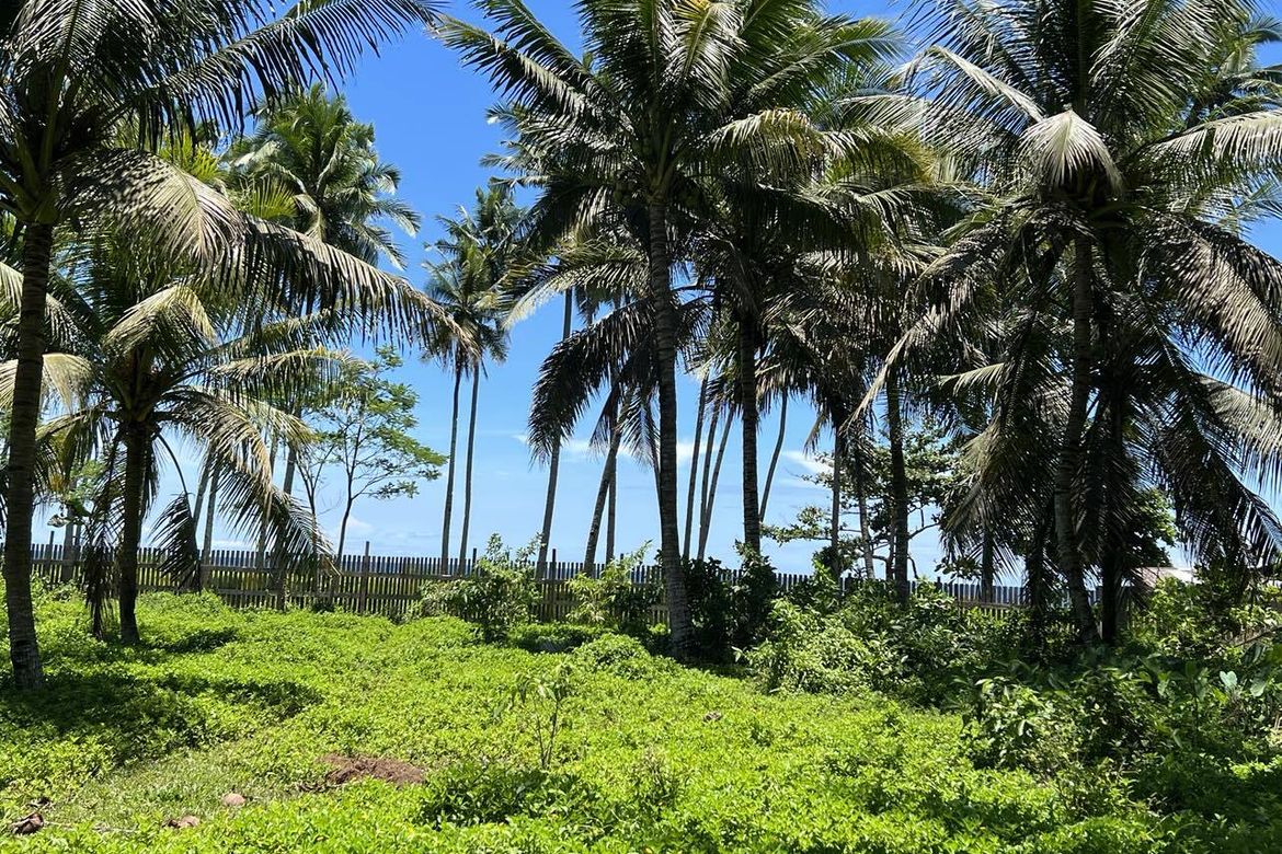 Land for Sale in Maanas, Medina, Misamis Oriental – photo 3