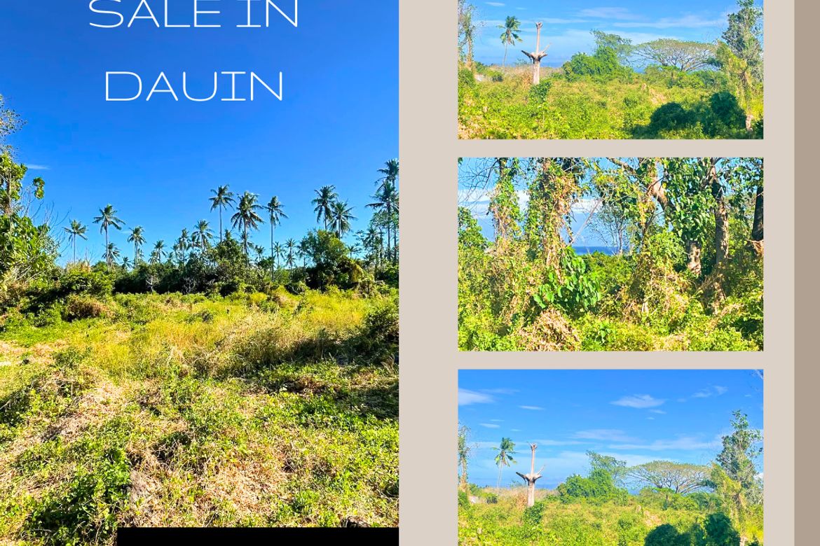 Land for Sale in Maayongtubig, Dauin, Negros Oriental