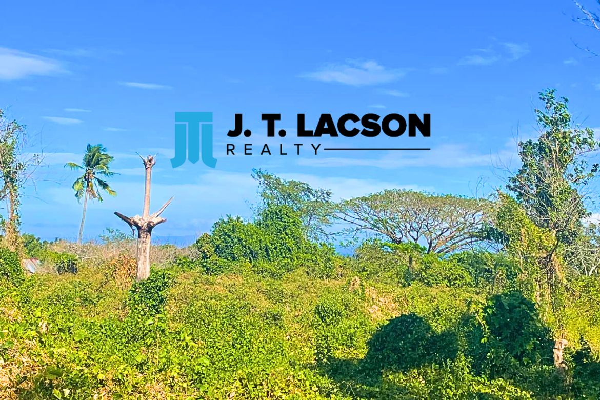 Land for Sale in Maayongtubig, Dauin, Negros Oriental – photo 3