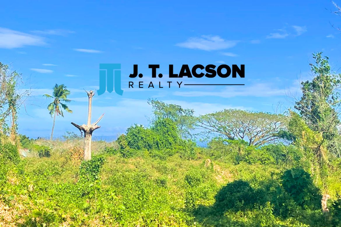 Land for Sale in Maayongtubig, Dauin, Negros Oriental – photo 6