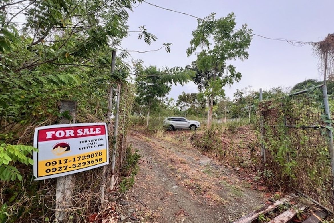 Land for Sale in Mabato, Rosario, Batangas