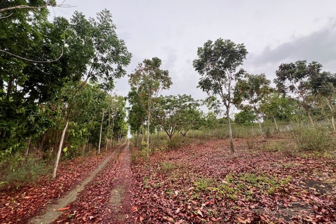 Land for Sale in Mabato, Rosario, Batangas – photo 2