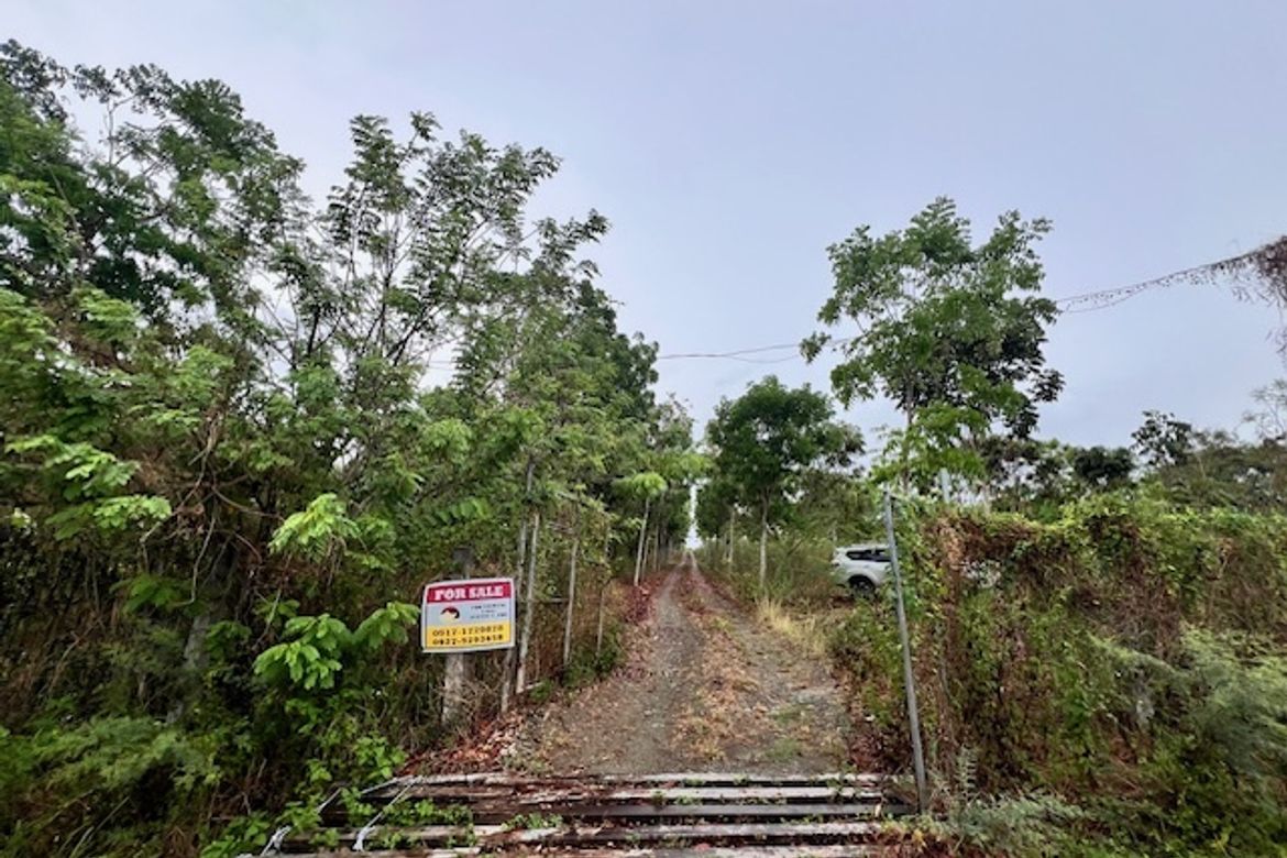 Land for Sale in Mabato, Rosario, Batangas – photo 3
