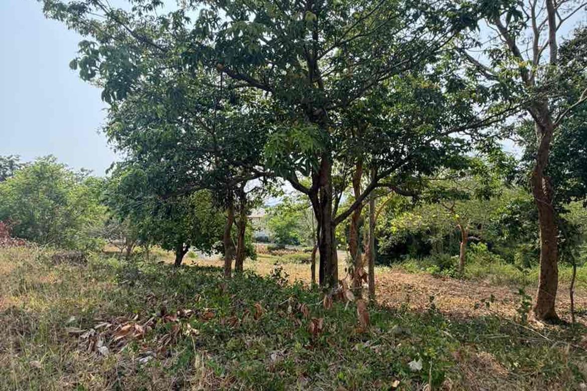 Land for Sale in Mabayo, Morong, Bataan – photo 5