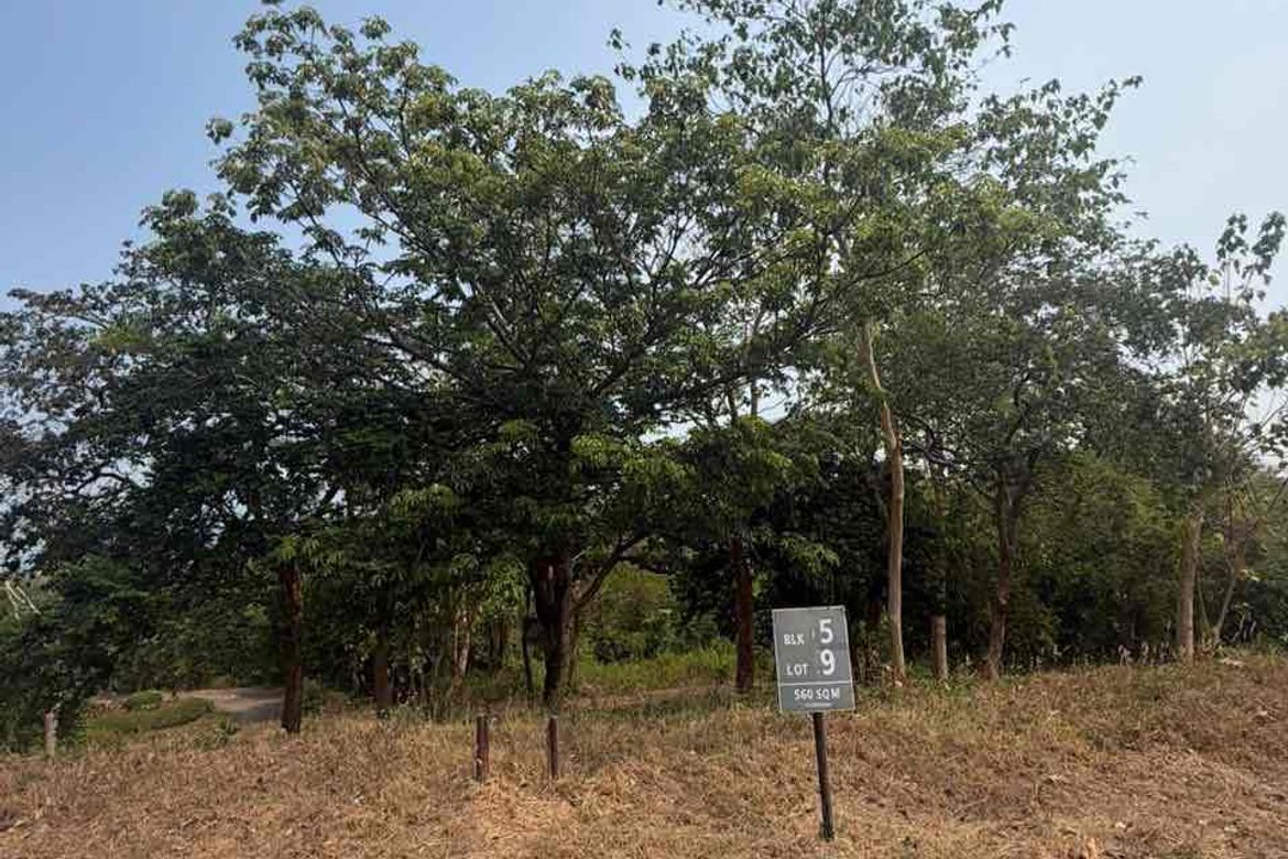 Land for Sale in Mabayo, Morong, Bataan – photo 6