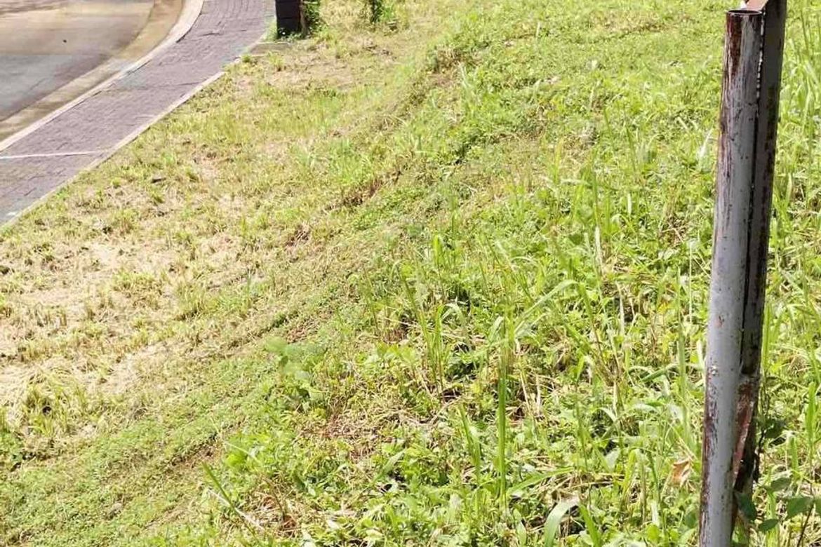 Land for Sale in Mabayo, Morong, Bataan – photo 5