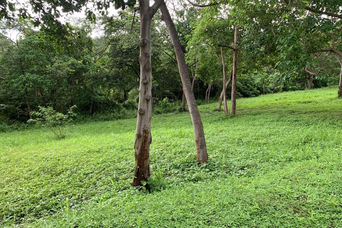 Land for Sale in Mabayo, Morong, Bataan – photo 4