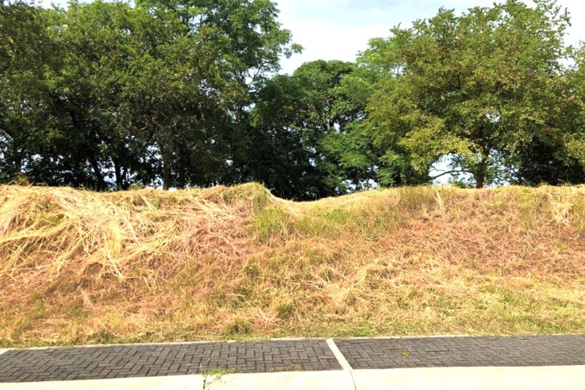 Land for Sale in Mabayo, Morong, Bataan – photo 2