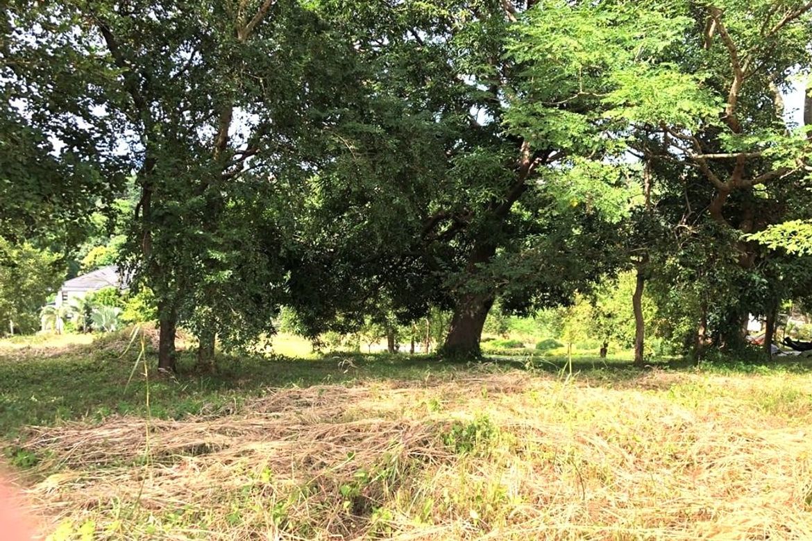 Land for Sale in Mabayo, Morong, Bataan – photo 3