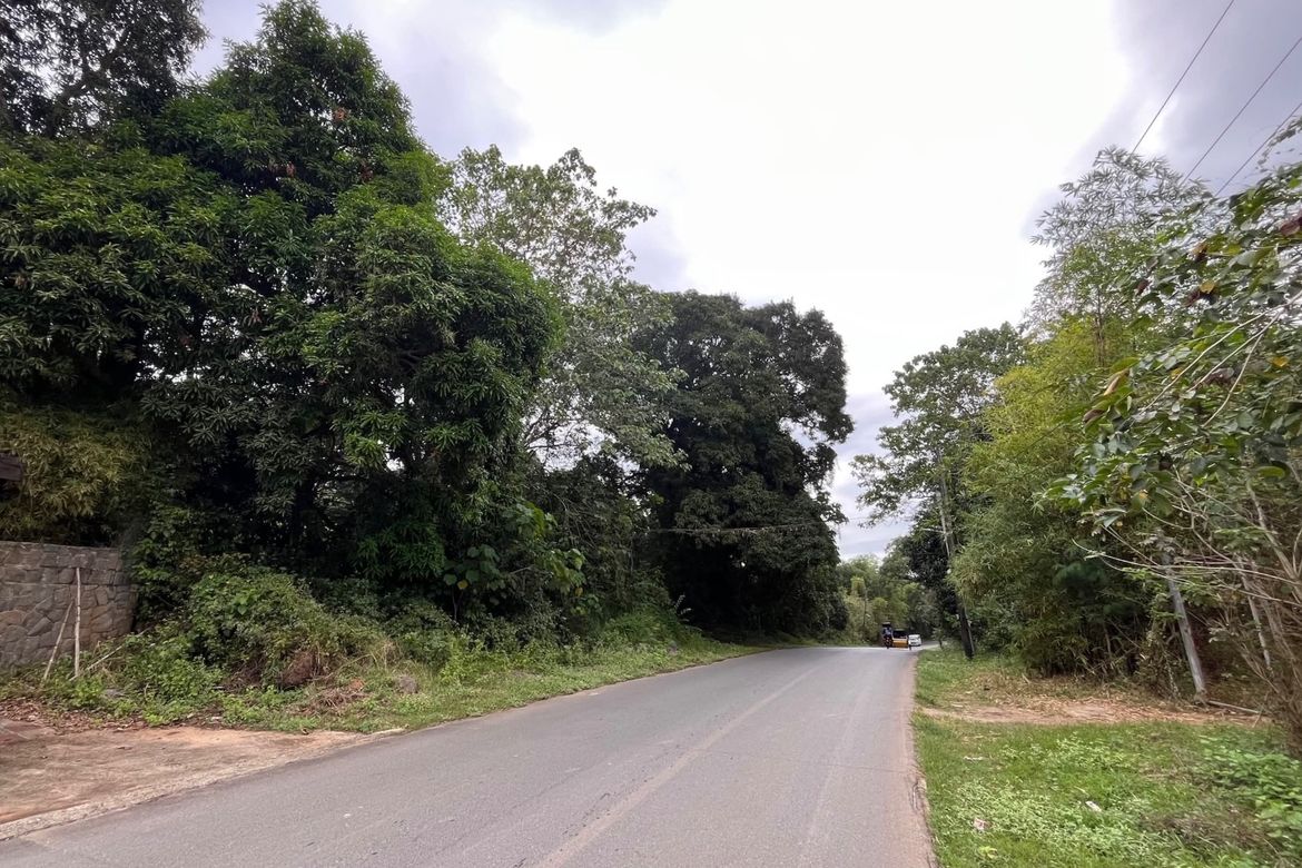 Land for Sale in Mabiga, Hermosa, Bataan – photo 8