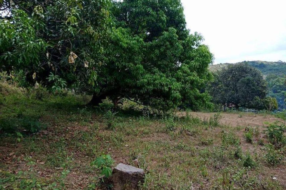 Land for Sale in Mabiga, Hermosa, Bataan – photo 4