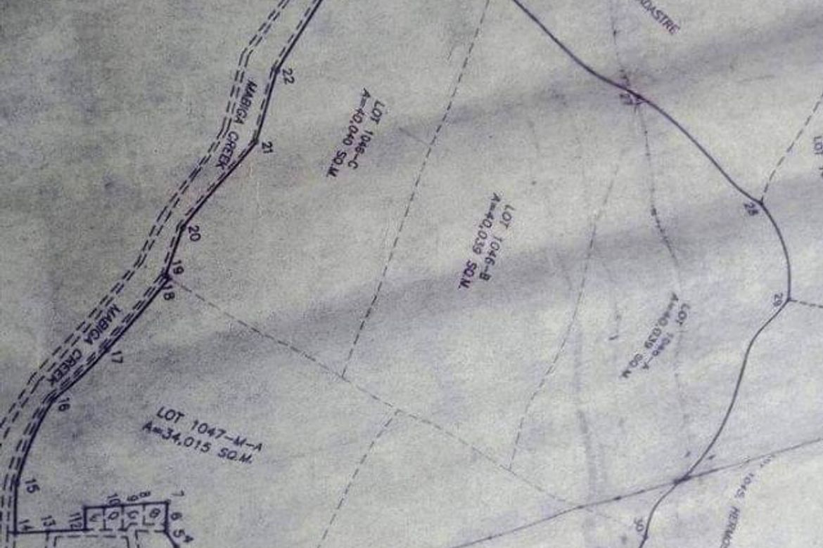 Land for Sale in Mabiga, Hermosa, Bataan – photo 6