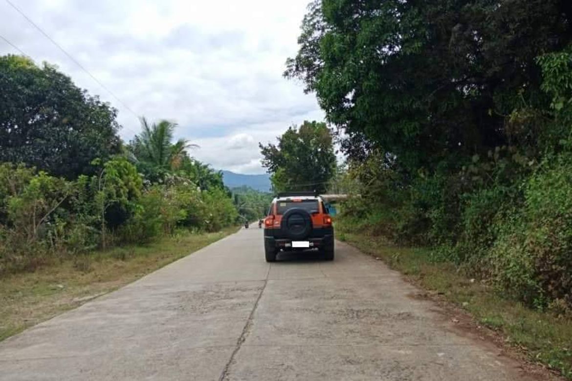 Land for Sale in Mabiga, Hermosa, Bataan – photo 7
