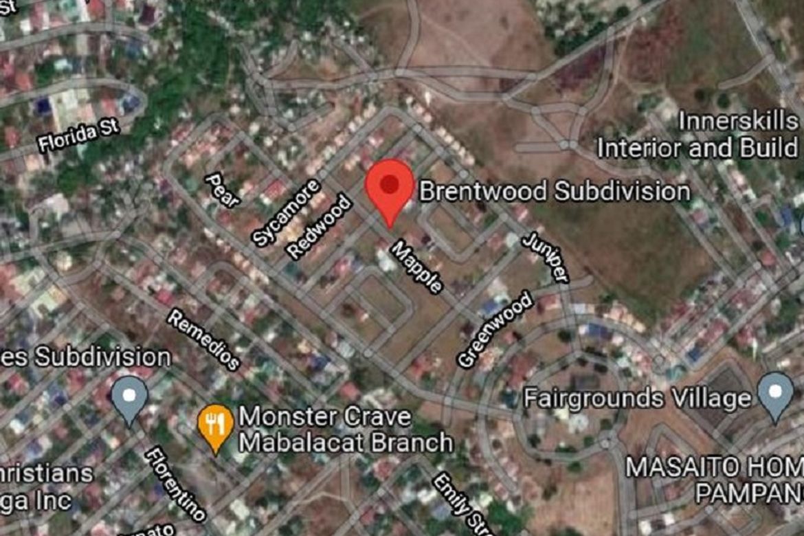 Land for Sale in Mabiga, Mabalacat, Pampanga – photo 5