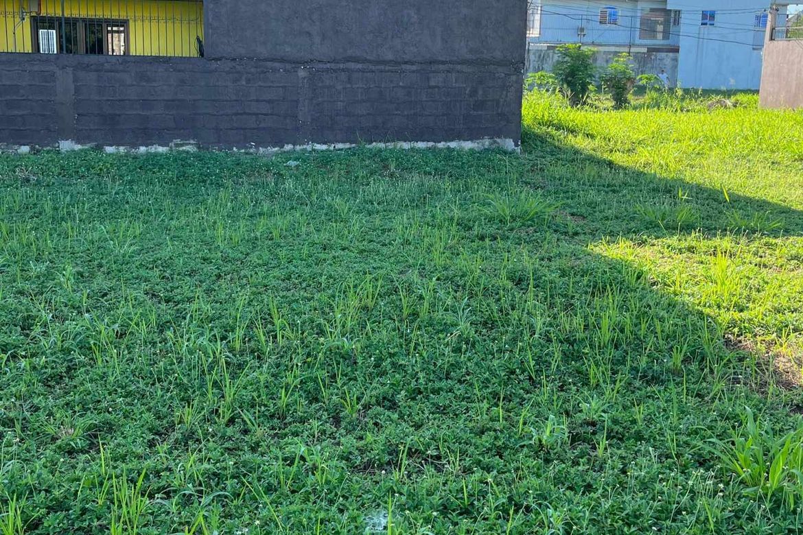 Land for Sale in Mabiga, Mabalacat, Pampanga – photo 3