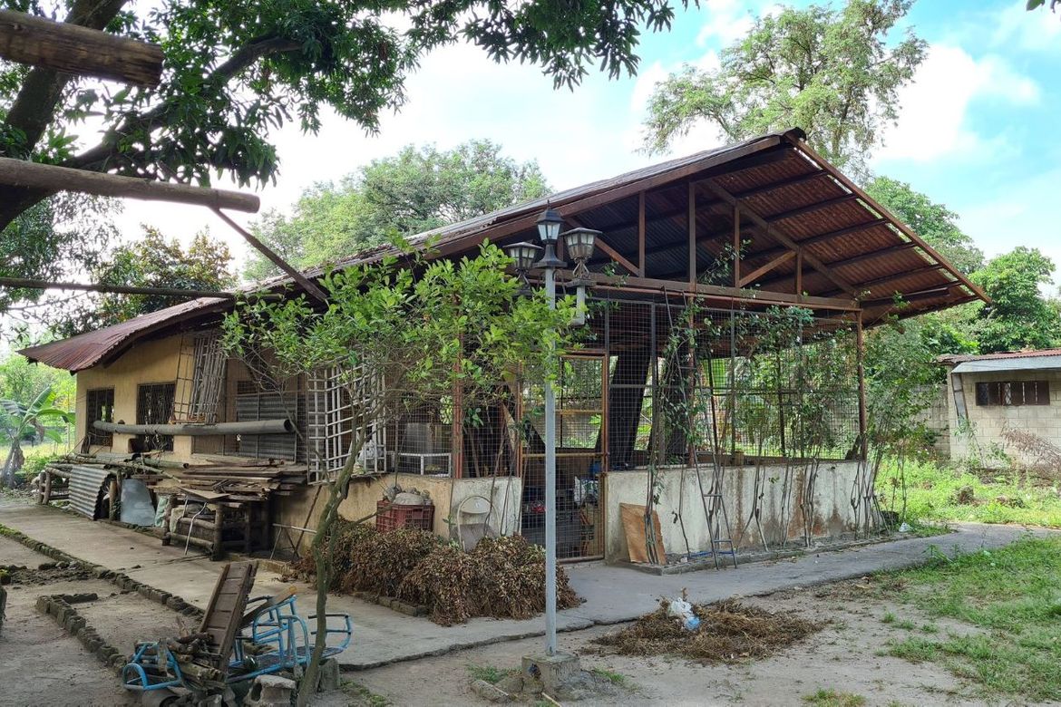 Land for Sale in Mabiga, Mabalacat, Pampanga – photo 6