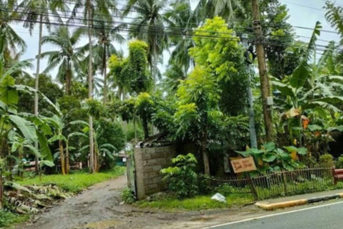 Land for Sale in Mabini, Lipa, Batangas – photo 2
