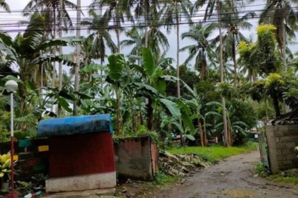 Land for Sale in Mabini, Lipa, Batangas – photo 3