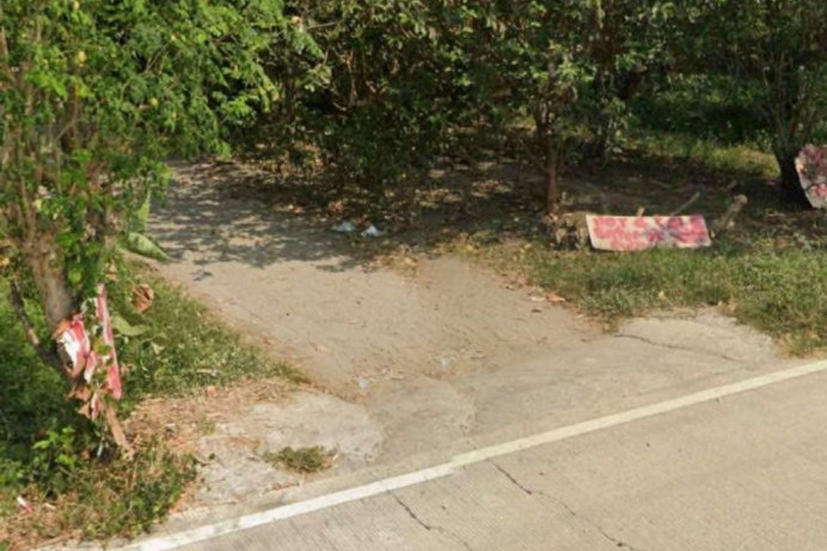 Land for Sale in Mabini, Tarlac, Tarlac – photo 2