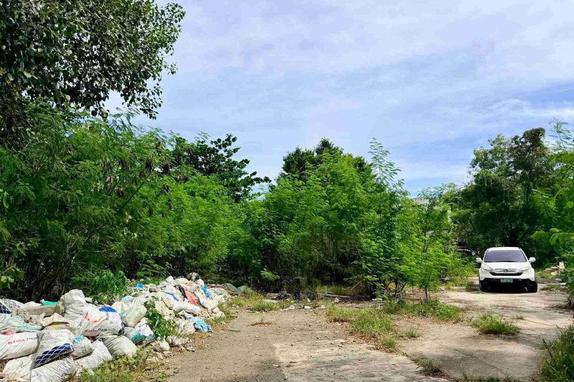 Land for Sale in Mabolo, Cebu City, Cebu – photo 6