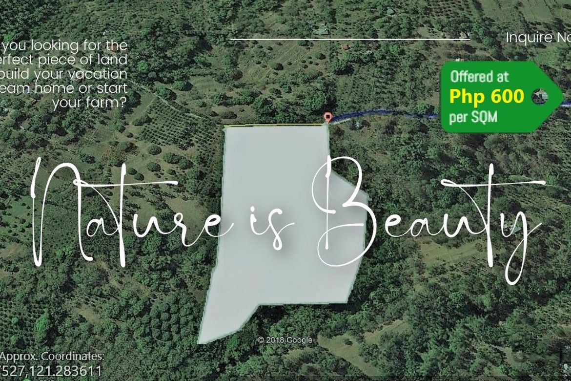 Land for Sale in Mabunga, Rosario, Batangas – photo 2