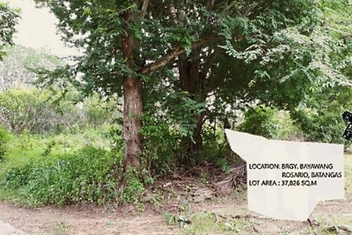 Land for Sale in Mabunga, Rosario, Batangas – photo 4