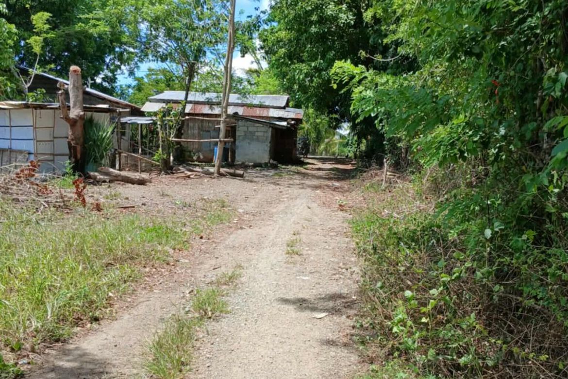 Land for Sale in Macalamcam A, Rosario, Batangas – photo 2